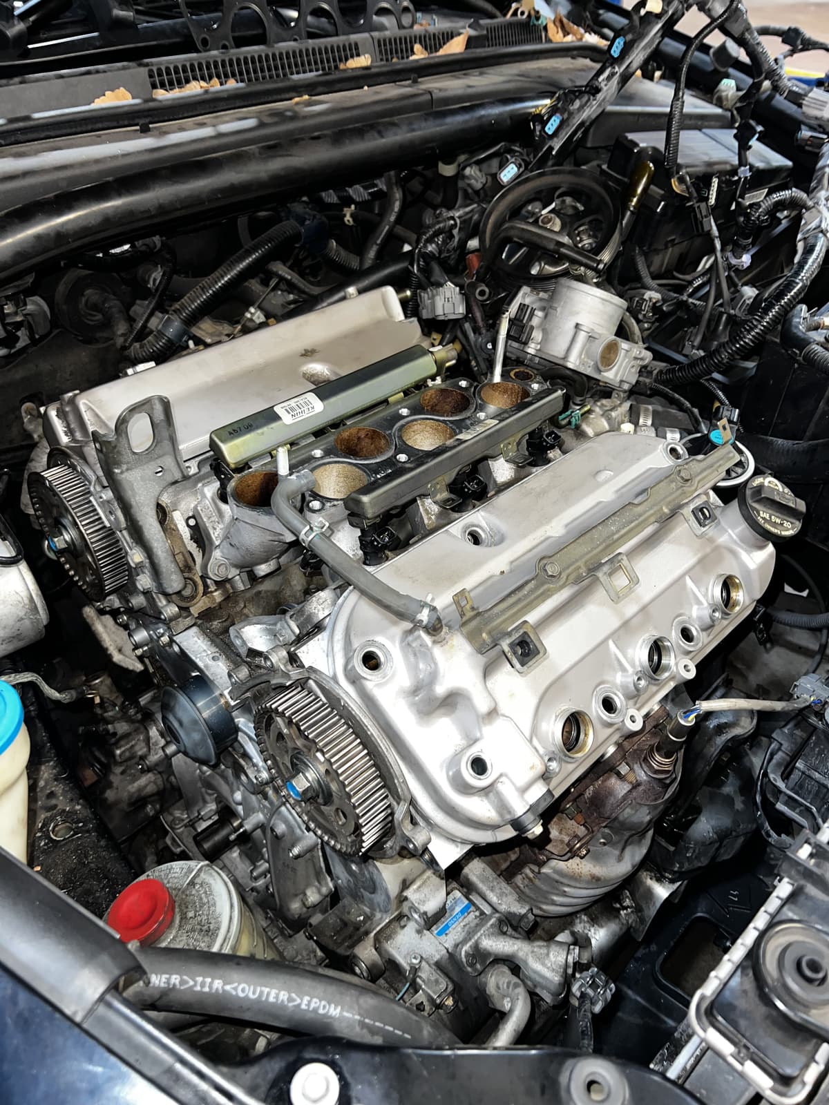 2006 Acura TL Timing belt, oil pump, and head gasket